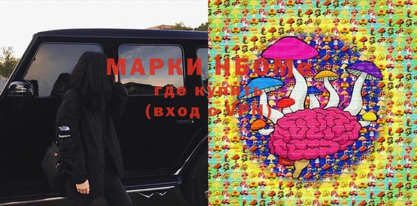 мдпв Осташков