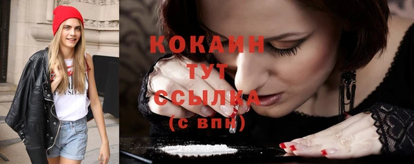 мдпв Осташков