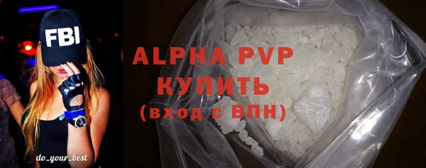 мдпв Осташков