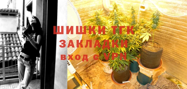 мдпв Осташков