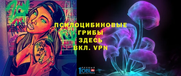 мдпв Осташков