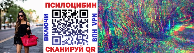 гидра как зайти  Зима  Галлюциногенные грибы MAGIC MUSHROOMS 