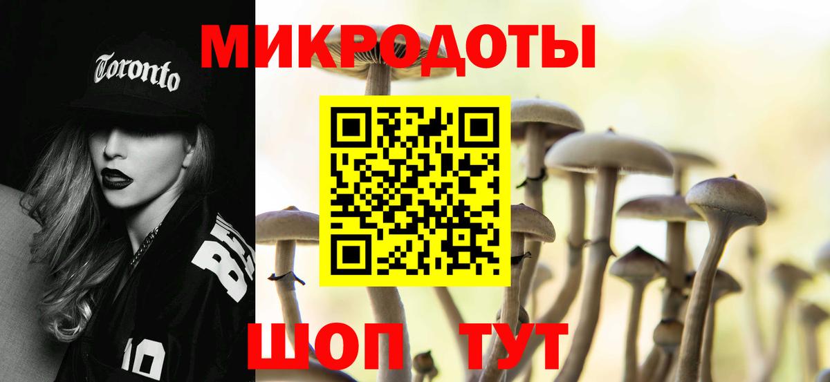 Псилоцибиновые грибы Psilocybe  Вход с VPN  Зима  Галлюциногенные грибы Cubensis 